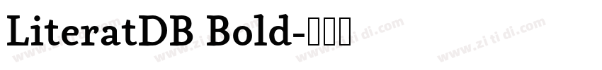 LiteratDB Bold字体转换 LiteratDB Bold字体转换